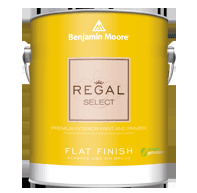 REGAL SELECT PAINT