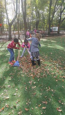 Students taking care of the environment