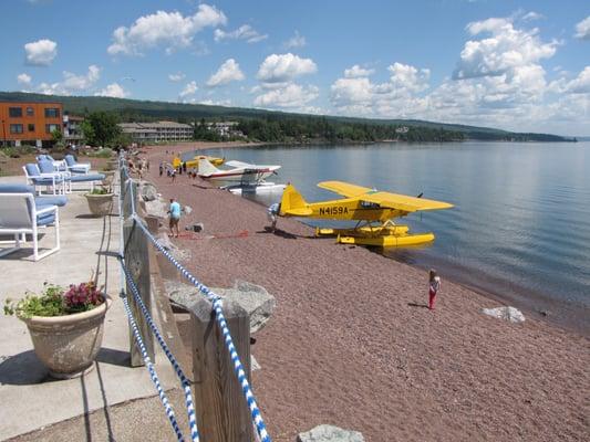 You just never know what is going to show up on the beach at the Shoreline !