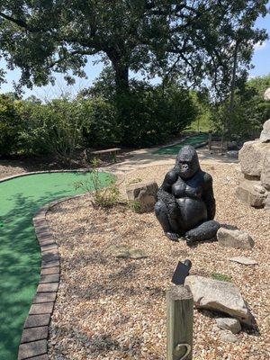 Gorilla and golf course