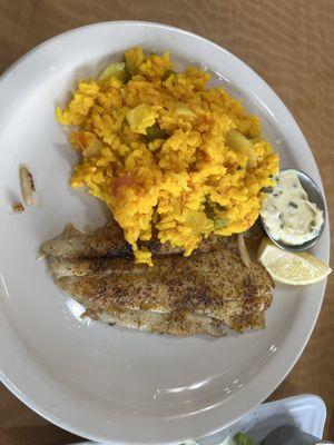 Blackened Flounder and rice