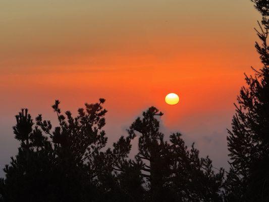 Sunset on top of Mt Lemmon.