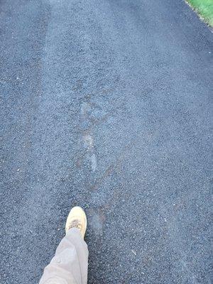 Old driveway showing through new asphalt.