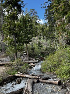 Little Waterfalls along the path, there are also about 7 picnic tables on the path as well