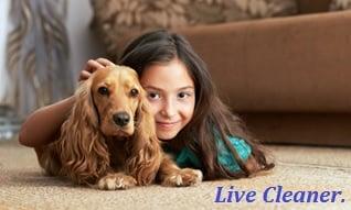 Safe-Dry Carpet Cleaning - Athens