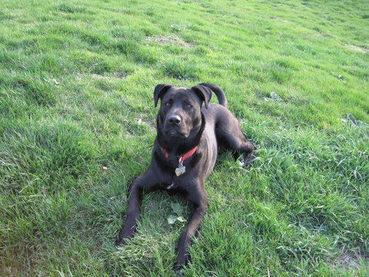 JAB Fitness Training Mascot,  Clyde taking a break!