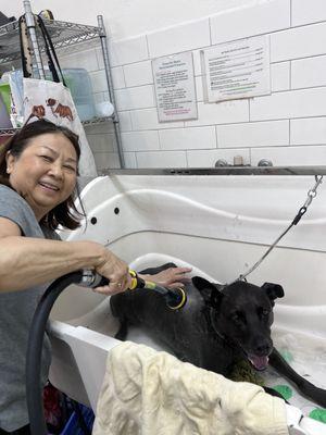 Our grand dog getting a bath.