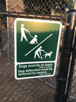 This is not a dog park owners must leash their dogs.