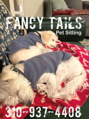 So relaxed with Tracy of Fancy Tails