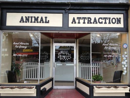 Animal Attraction