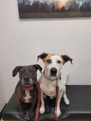 Baby and Cooper waiting for their shots