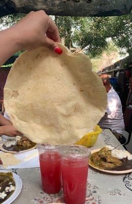 Taqueria Guerrero donde se puede deleytar una rica comida estilo guerrero y tortillas echas a mano se los recomiendo