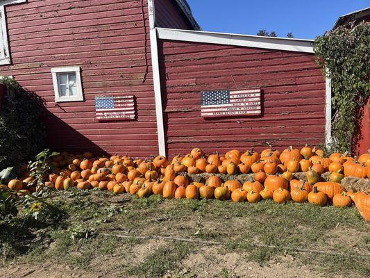 Their pumpkins outside their market