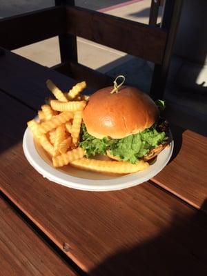 Burger & Seasoned Fries