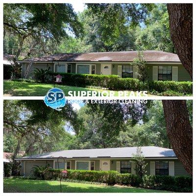 Shingle roof cleaning Before and After