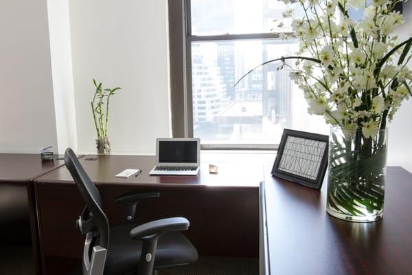 Outside offices are soaked with Natural Light