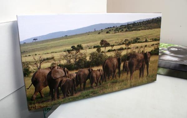 We are the only source of custom sized canvases in Omaha. We can print any size between 39 x 59 inches.