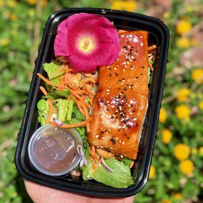 Asian Salmon Salad