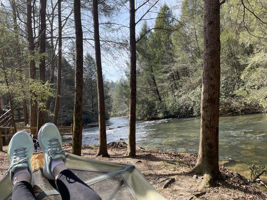 View from the hammock. Perfection!