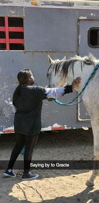 Feeding the horse after her ride