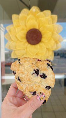 Blueberry scone (GF)