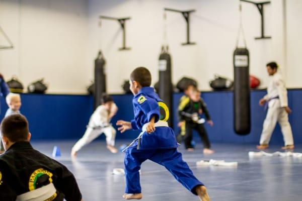 Paragon Jiu Jitsu and Kickboxing