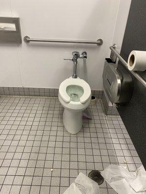 Overflowing handicap stall with a whole wet roll of tissue in the corner.