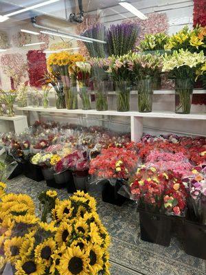 Many beautiful flowers to choose from.