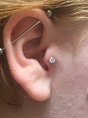 Industrial and Tragus piercings done by Craig Kelley (poked)