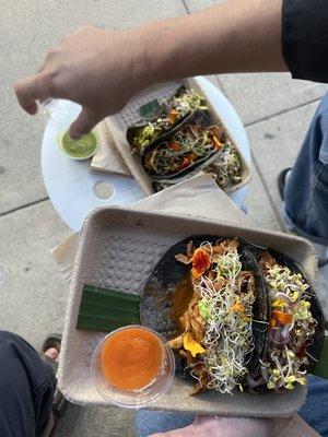 Wow, maybe the most gorgeous tacos in all of Los Angeles!