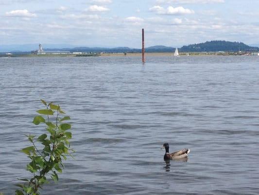 PDX control tower off left in distance