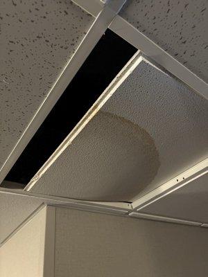 Leaky ceiling in hallway.