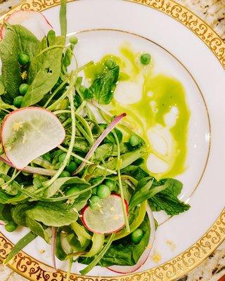 Spring Salad