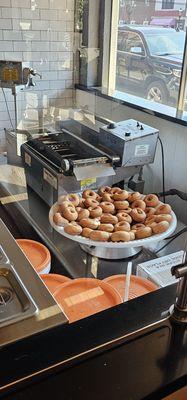 Fresh donuts