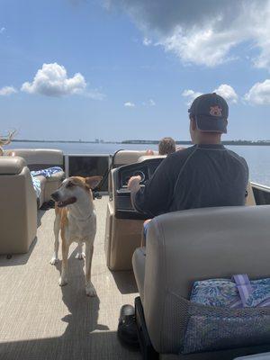 We loved the Bentley pontoon boat. Very well maintained