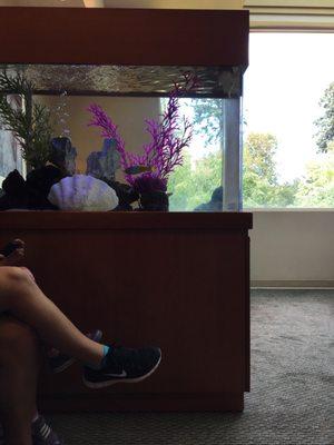 Fish tank in lobby