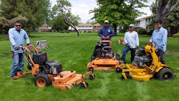 Lawn Mowing commercial