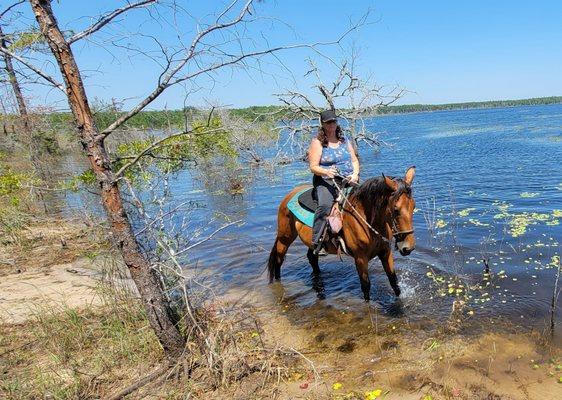 A stop by the lake.  Horses got a drink and a snack.