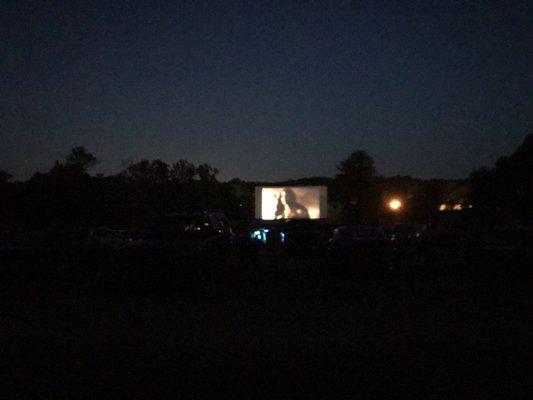 Experience the movie in the dark.  Still a bit of light but nothing that will take away from the experience.