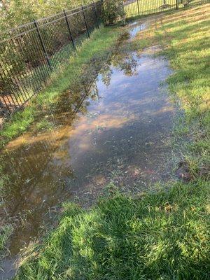 No more flooding and a more beautiful backyard