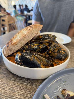 Mussels with Chorizo in a Tomato Cream Broth