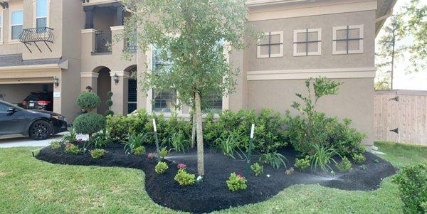 Mulch install with a full flower bed clean up, and trimming service.