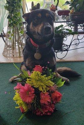 Even our shop dogs are excited to give you an arrangement.