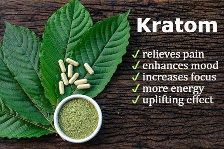 Kratom facts. Remember, Kratom is a botanical aromatherapy organic product that is not safe for human consumption.