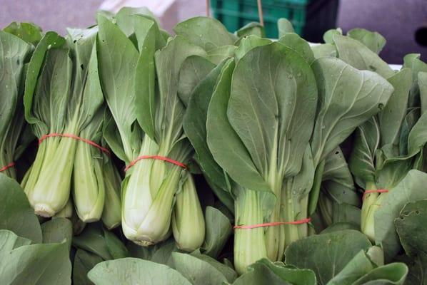 Boc Choy at the Parkwood Farmers' Market