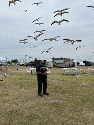 Food so good the birds fight for it