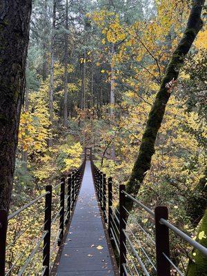 The suspension bridge