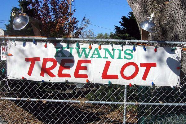 The 2017 Los Altos Kiwanis Christmas Tree Lot opens on Friday, Nov. 24 at 10:00 am to 5:00 pm