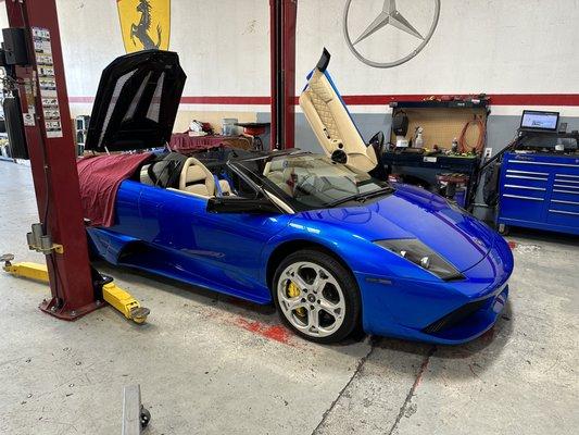 Minor electrical diagnostic and an AC recharge had this Murci Roadster with a nice cold interior again.