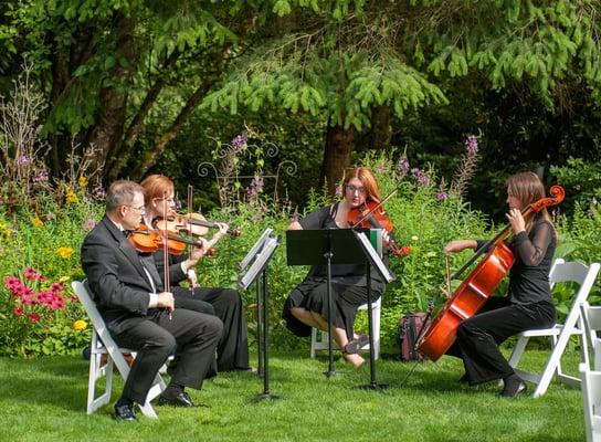 ​​Professional musicians dedicated to bringing tasteful elegance to your special event. We perform a broad range of music to meet your needs